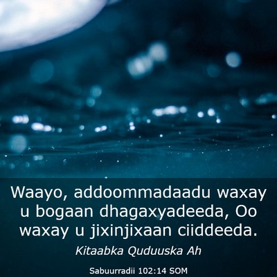 Picture 03 - Sabuurradii 102:14 SOM - Waayo, addoommadaadu waxay u bogaan - Bible Verse Picture