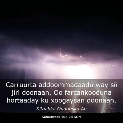 Picture 03 - Sabuurradii 102:28 SOM - Carruurta addoommadaadu way sii jiri doonaan, Oo - Bible Verse Picture