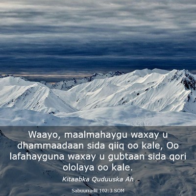 Picture 03 - Sabuurradii 102:3 SOM - Waayo, maalmahaygu waxay u dhammaadaan sida qiiq - Bible Verse Picture
