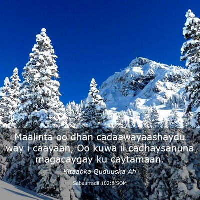 Picture 03 - Sabuurradii 102:8 SOM - Maalinta oo dhan cadaawayaashaydu way i caayaan, - Bible Verse Picture