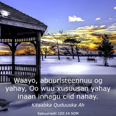 Picture 03 - Sabuurradii 103:14 SOM - Waayo, abuuristeennuu og yahay, Oo wuu xusuusan - Bible Verse Picture