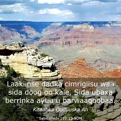 Picture 03 - Sabuurradii 103:15 SOM - Laakiinse dadka cimrigiisu waa sida doog oo kale, - Bible Verse Picture