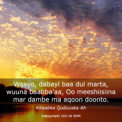 Picture 03 - Sabuurradii 103:16 SOM - Waayo, dabayl baa dul marta, wuuna baabba'aa, Oo - Bible Verse Picture