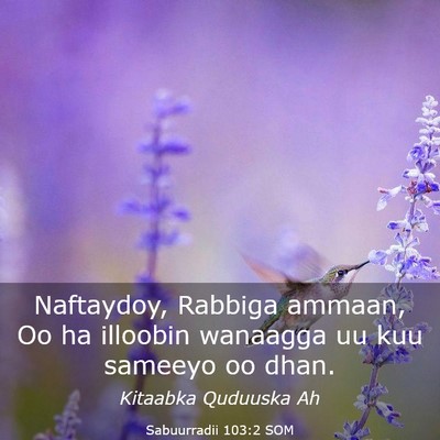 Picture 03 - Sabuurradii 103:2 SOM - Naftaydoy, Rabbiga ammaan, Oo ha illoobin - Bible Verse Picture