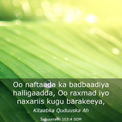 Picture 03 - Sabuurradii 103:4 SOM - Oo naftaada ka badbaadiya halligaadda, Oo raxmad - Bible Verse Picture
