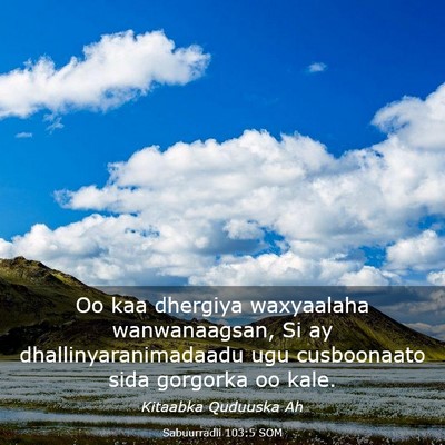 Picture 03 - Sabuurradii 103:5 SOM - Oo kaa dhergiya waxyaalaha wanwanaagsan, Si ay - Bible Verse Picture