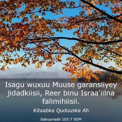 Picture 03 - Sabuurradii 103:7 SOM - Isagu wuxuu Muuse garansiiyey jidadkiisii, Reer - Bible Verse Picture