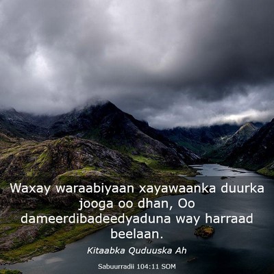 Picture 03 - Sabuurradii 104:11 SOM - Waxay waraabiyaan xayawaanka duurka jooga oo - Bible Verse Picture