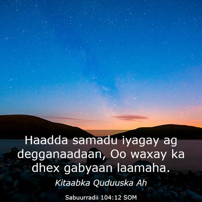 Picture 03 - Sabuurradii 104:12 SOM - Haadda samadu iyagay ag degganaadaan, Oo waxay ka - Bible Verse Picture