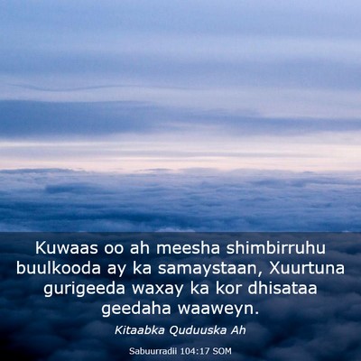 Picture 03 - Sabuurradii 104:17 SOM - Kuwaas oo ah meesha shimbirruhu buulkooda ay ka - Bible Verse Picture