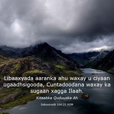 Picture 03 - Sabuurradii 104:21 SOM - Libaaxyada aaranka ahu waxay u ciyaan - Bible Verse Picture