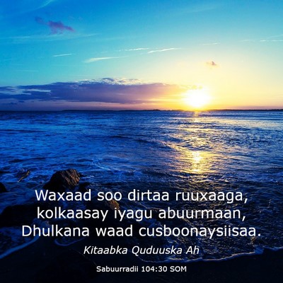 Picture 03 - Sabuurradii 104:30 SOM - Waxaad soo dirtaa ruuxaaga, kolkaasay iyagu - Bible Verse Picture