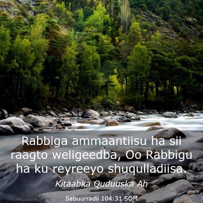 Picture 03 - Sabuurradii 104:31 SOM - Rabbiga ammaantiisu ha sii raagto weligeedba, Oo - Bible Verse Picture