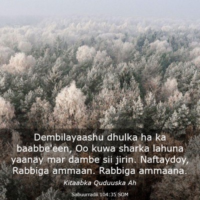 Picture 03 - Sabuurradii 104:35 SOM - Dembilayaashu dhulka ha ka baabbe'een, Oo kuwa - Bible Verse Picture