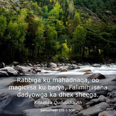 Picture 03 - Sabuurradii 105:1 SOM - Rabbiga ku mahadnaqa, oo magiciisa ku barya, - Bible Verse Picture