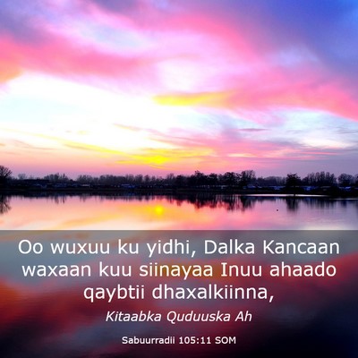Picture 03 - Sabuurradii 105:11 SOM - Oo wuxuu ku yidhi, Dalka Kancaan waxaan kuu - Bible Verse Picture