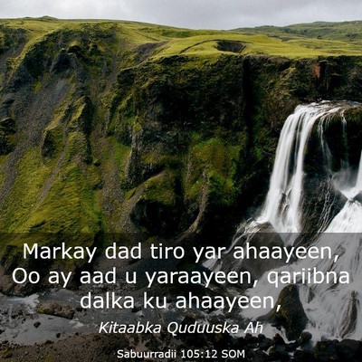 Picture 03 - Sabuurradii 105:12 SOM - Markay dad tiro yar ahaayeen, Oo ay aad u - Bible Verse Picture