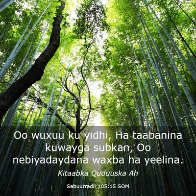 Picture 03 - Sabuurradii 105:15 SOM - Oo wuxuu ku yidhi, Ha taabanina kuwayga subkan, - Bible Verse Picture