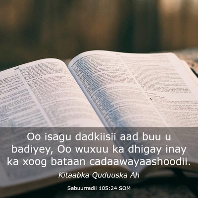 Picture 03 - Sabuurradii 105:24 SOM - Oo isagu dadkiisii aad buu u badiyey, Oo wuxuu ka - Bible Verse Picture