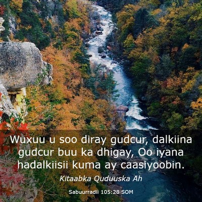 Picture 03 - Sabuurradii 105:28 SOM - Wuxuu u soo diray gudcur, dalkiina gudcur buu ka - Bible Verse Picture