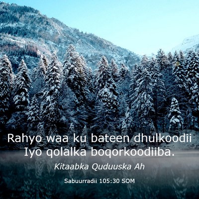 Picture 03 - Sabuurradii 105:30 SOM - Rahyo waa ku bateen dhulkoodii Iyo qolalka - Bible Verse Picture