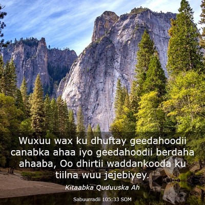 Picture 03 - Sabuurradii 105:33 SOM - Wuxuu wax ku dhuftay geedahoodii canabka ahaa iyo - Bible Verse Picture