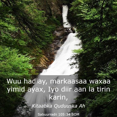 Picture 03 - Sabuurradii 105:34 SOM - Wuu hadlay, markaasaa waxaa yimid ayax, Iyo diir - Bible Verse Picture
