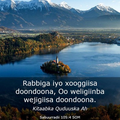 Picture 03 - Sabuurradii 105:4 SOM - Rabbiga iyo xooggiisa doondoona, Oo weligiinba - Bible Verse Picture