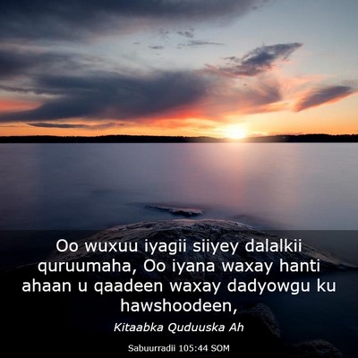 Picture 03 - Sabuurradii 105:44 SOM - Oo wuxuu iyagii siiyey dalalkii quruumaha, Oo - Bible Verse Picture