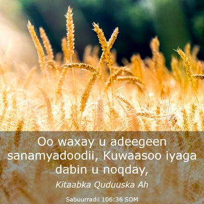 Picture 03 - Sabuurradii 106:36 SOM - Oo waxay u adeegeen sanamyadoodii, Kuwaasoo iyaga - Bible Verse Picture