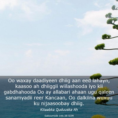 Picture 03 - Sabuurradii 106:38 SOM - Oo waxay daadiyeen dhiig aan eed lahayn, kaasoo - Bible Verse Picture
