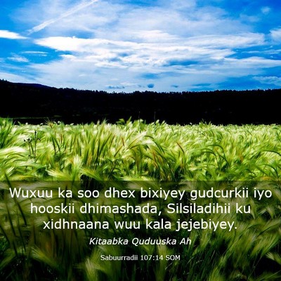 Picture 03 - Sabuurradii 107:14 SOM - Wuxuu ka soo dhex bixiyey gudcurkii iyo hooskii - Bible Verse Picture