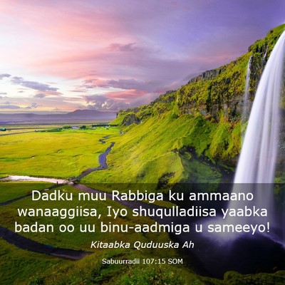 Picture 03 - Sabuurradii 107:15 SOM - Dadku muu Rabbiga ku ammaano wanaaggiisa, Iyo - Bible Verse Picture