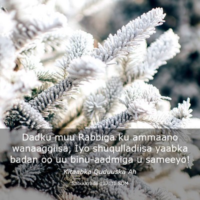 Picture 03 - Sabuurradii 107:31 SOM - Dadku muu Rabbiga ku ammaano wanaaggiisa, Iyo - Bible Verse Picture