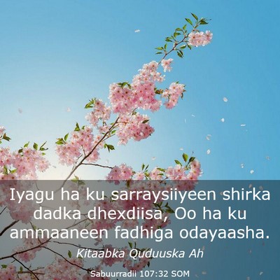 Picture 03 - Sabuurradii 107:32 SOM - Iyagu ha ku sarraysiiyeen shirka dadka dhexdiisa, - Bible Verse Picture