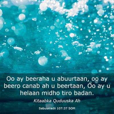 Picture 03 - Sabuurradii 107:37 SOM - Oo ay beeraha u abuurtaan, oo ay beero canab ah u - Bible Verse Picture