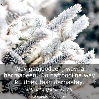 Picture 03 - Sabuurradii 107:5 SOM - Way gaajoodeen, wayna harraadeen, Oo naftoodiina - Bible Verse Picture
