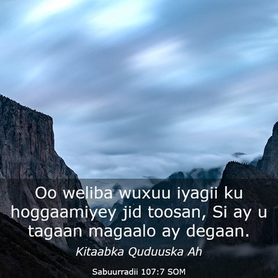 Picture 03 - Sabuurradii 107:7 SOM - Oo weliba wuxuu iyagii ku hoggaamiyey jid toosan, - Bible Verse Picture