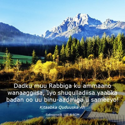 Picture 03 - Sabuurradii 107:8 SOM - Dadku muu Rabbiga ku ammaano wanaaggiisa, Iyo - Bible Verse Picture