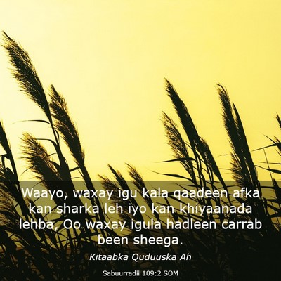Picture 03 - Sabuurradii 109:2 SOM - Waayo, waxay igu kala qaadeen afka kan sharka leh - Bible Verse Picture