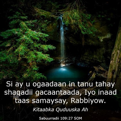 Picture 03 - Sabuurradii 109:27 SOM - Si ay u ogaadaan in tanu tahay shaqadii - Bible Verse Picture