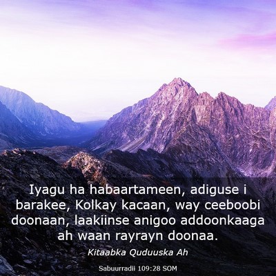 Picture 03 - Sabuurradii 109:28 SOM - Iyagu ha habaartameen, adiguse i barakee, Kolkay - Bible Verse Picture