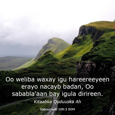 Picture 03 - Sabuurradii 109:3 SOM - Oo weliba waxay igu hareereeyeen erayo nacayb - Bible Verse Picture