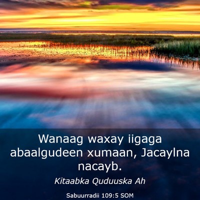 Picture 03 - Sabuurradii 109:5 SOM - Wanaag waxay iigaga abaalgudeen xumaan, Jacaylna - Bible Verse Picture