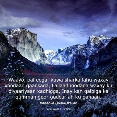 Picture 03 - Sabuurradii 11:2 SOM - Waayo, bal eega, kuwa sharka lahu waxay xoodaan - Bible Verse Picture