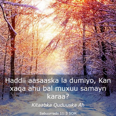 Picture 03 - Sabuurradii 11:3 SOM - Haddii aasaaska la dumiyo, Kan xaqa ahu bal muxuu - Bible Verse Picture