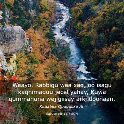 Picture 03 - Sabuurradii 11:7 SOM - Waayo, Rabbigu waa xaq, oo isagu xaqnimaduu jecel - Bible Verse Picture