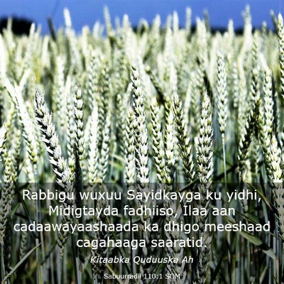Picture 03 - Sabuurradii 110:1 SOM - Rabbigu wuxuu Sayidkayga ku yidhi, Midigtayda - Bible Verse Picture