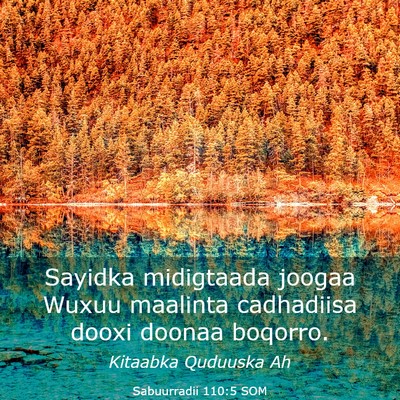 Picture 03 - Sabuurradii 110:5 SOM - Sayidka midigtaada joogaa Wuxuu maalinta - Bible Verse Picture