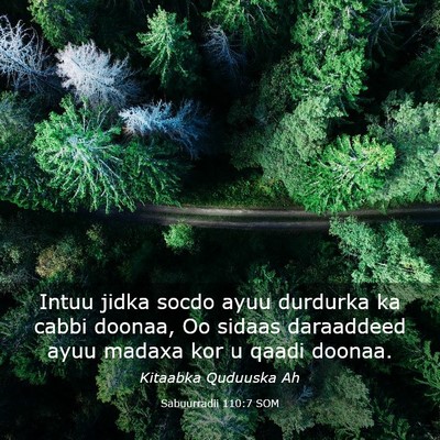 Picture 03 - Sabuurradii 110:7 SOM - Intuu jidka socdo ayuu durdurka ka cabbi doonaa, - Bible Verse Picture